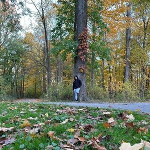 Meet your Posher, Israel david